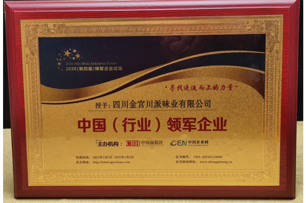 中國（行業(yè)）領軍企業(yè)
